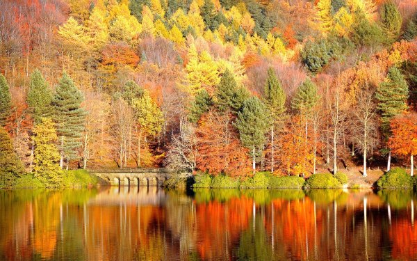 осенние пейзажи