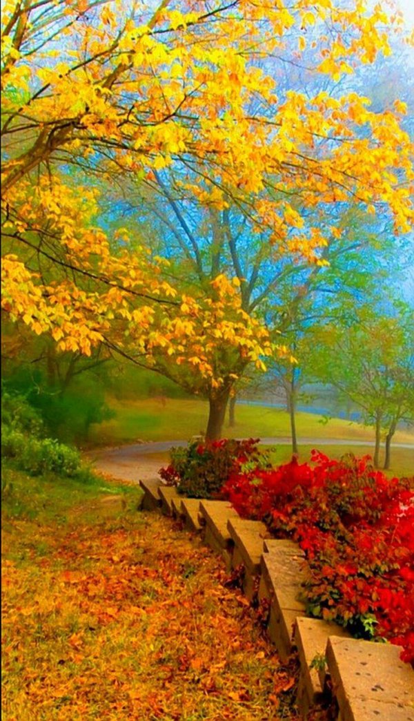 красота осени