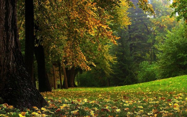 осенние пейзажи