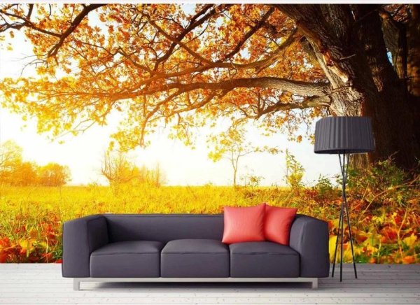 осенние фоны