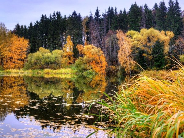 осеннее озеро