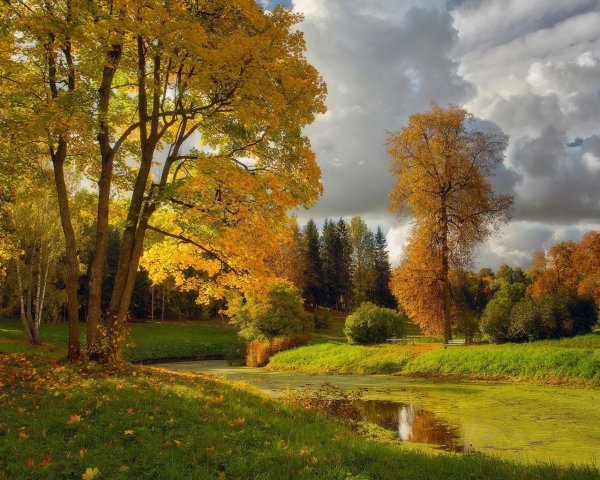 осенние пейзажи