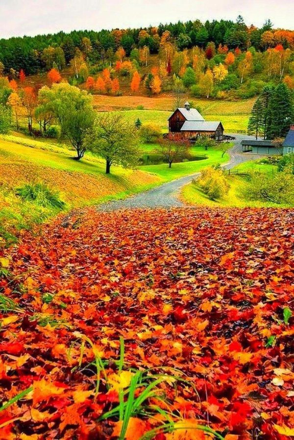 осенние пейзажи