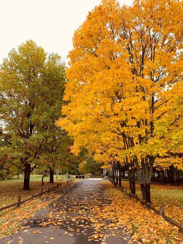 осенние пейзажи