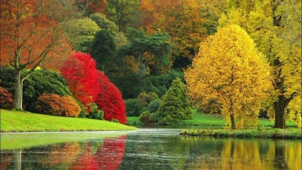 парк шеффилд гарден