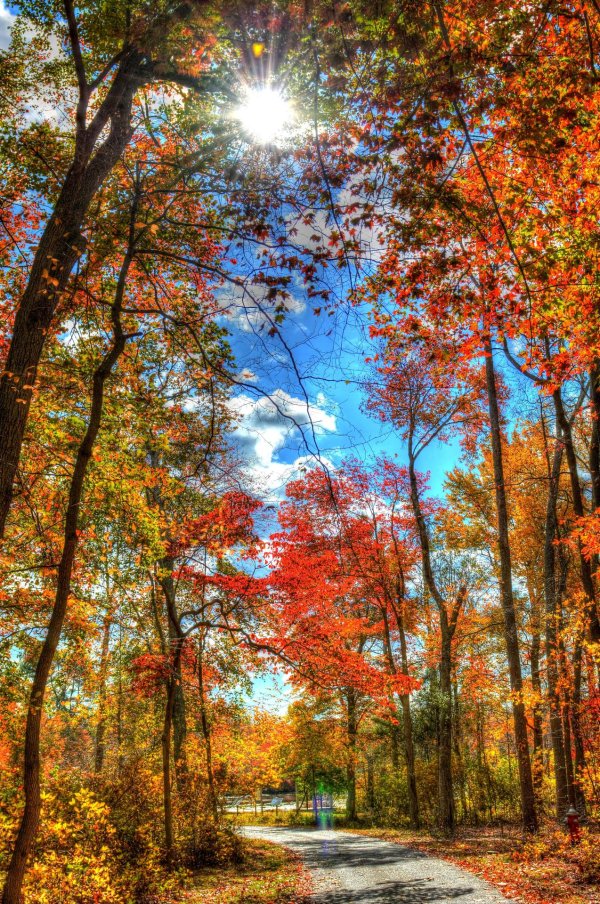 осенние пейзажи