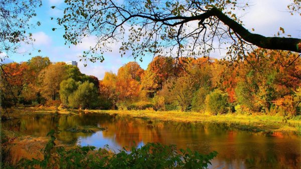 осенние пейзажи