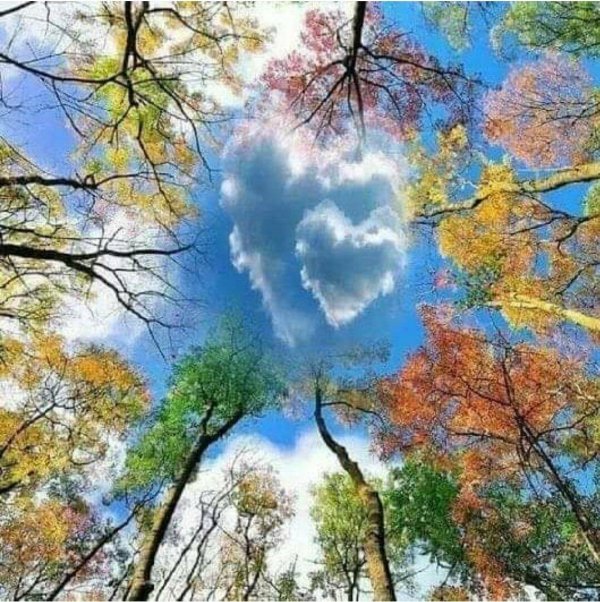 сезоны природы