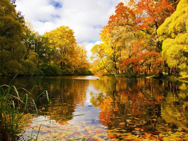 осенние пейзажи