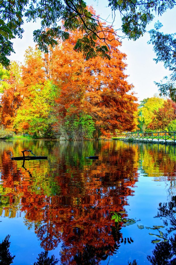 природа осенью