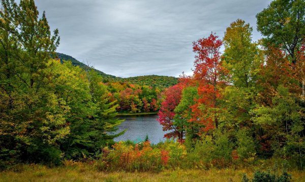 осенние пейзажи