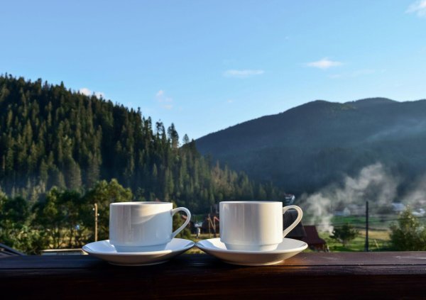 Природа кофе