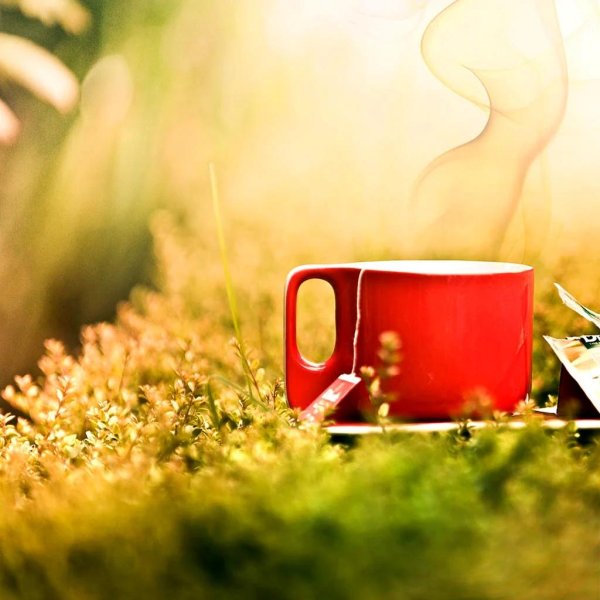 чашка с чаем