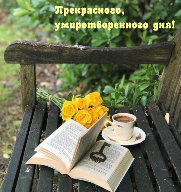 уютная природа