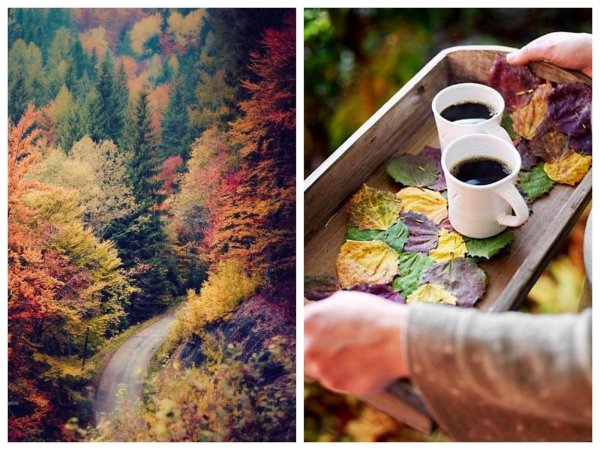 осеннее чаепитие