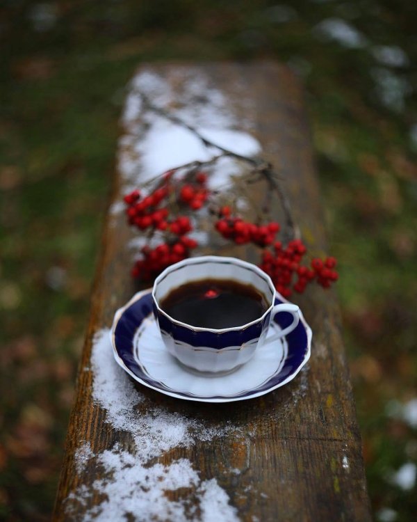 осеннее чаепитие