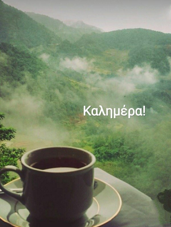 чай на природе