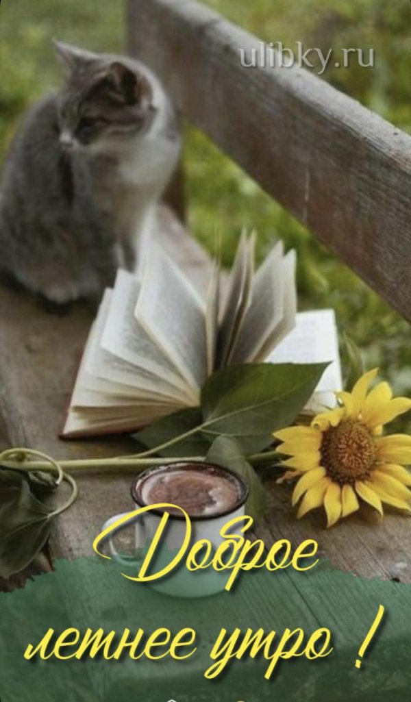 добра утра
