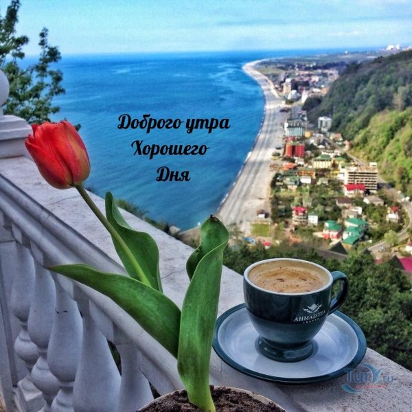 доброго утра море