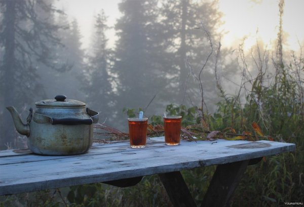 чай в поход