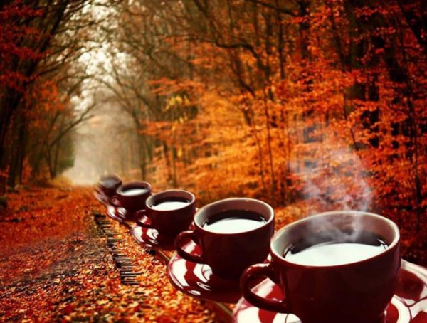 осеннего утра