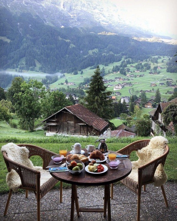 Природа кофе