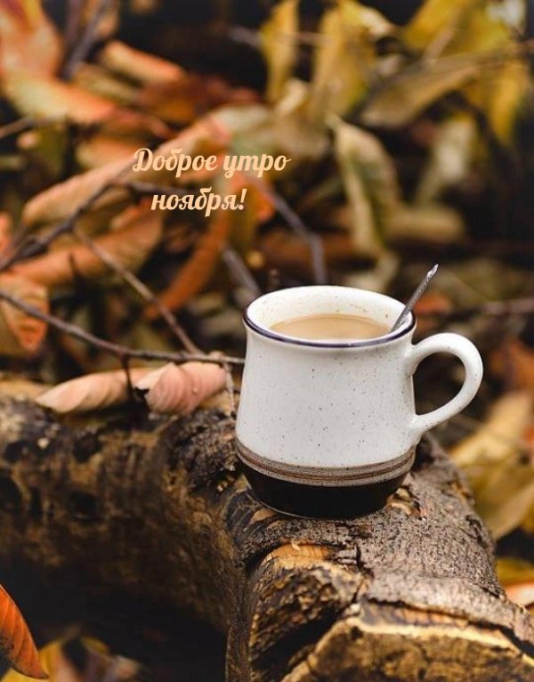 доброго утра ноябрь