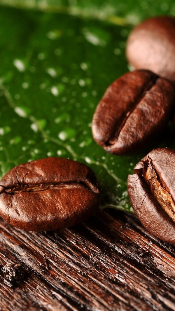 кофейное зерно