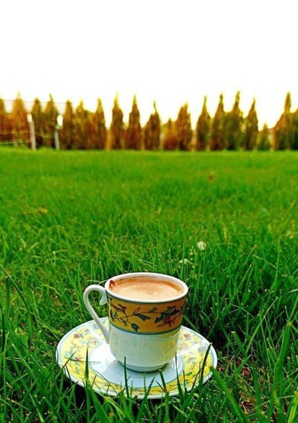 чай на природе