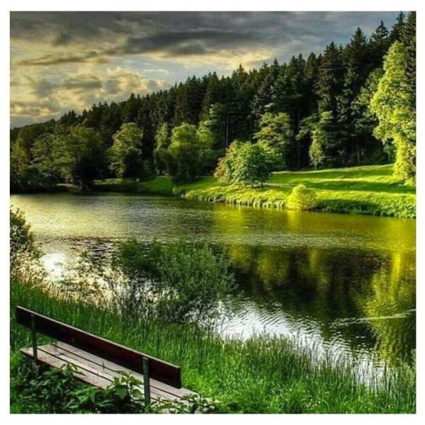 пейзажи летние