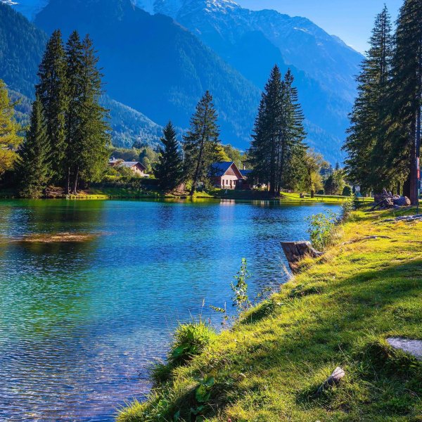 Природа горизонтальные