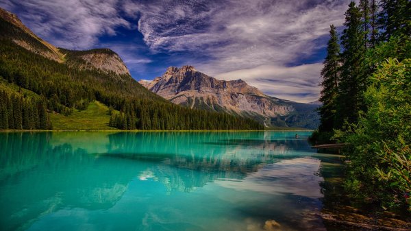 Природа горизонтальные