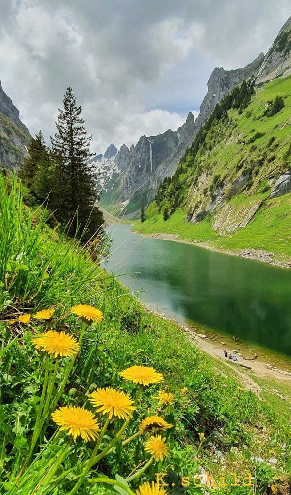 идеи для пейзажа