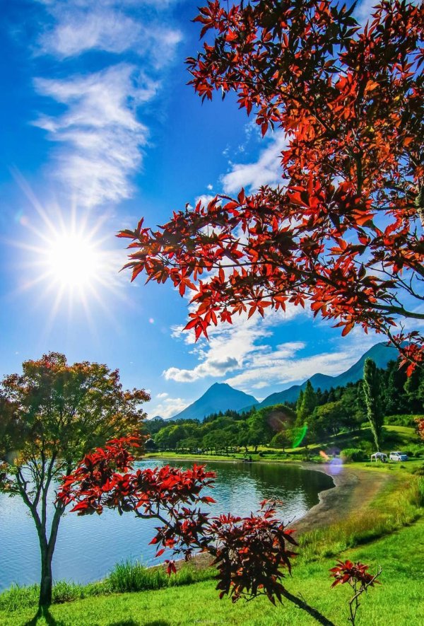 осенние пейзажи