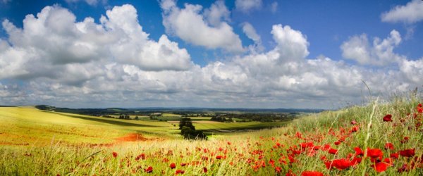 кубанская степь краснодарский край