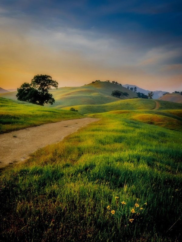 дорога пейзаж