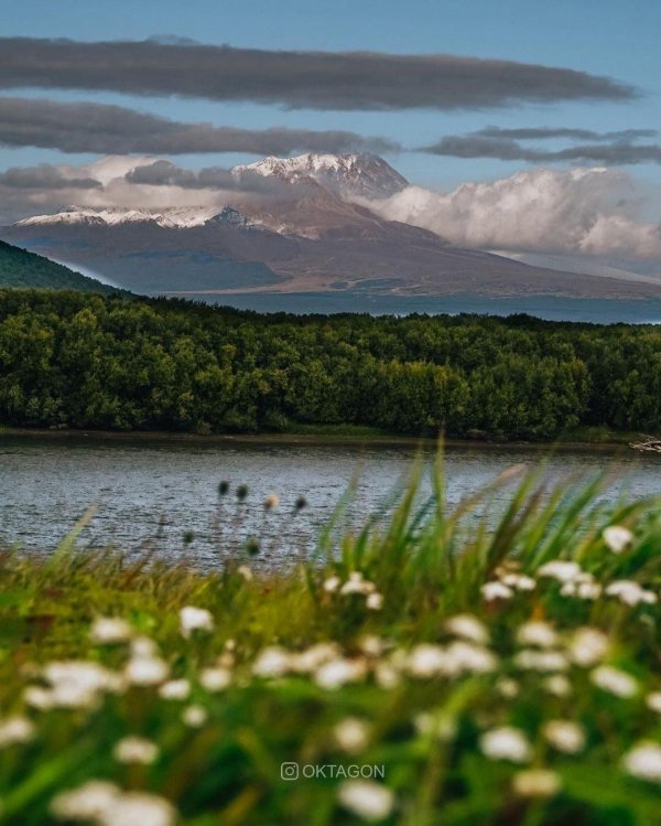 камчатка природа