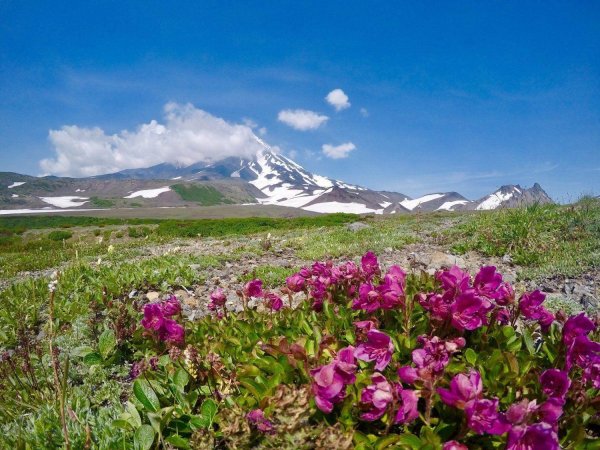 тур на камчатку вулканы