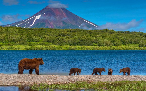 южнокамчатский заказник курильское озеро