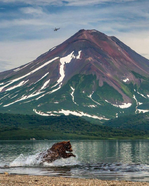 кроноцкий заповедник камчатский край