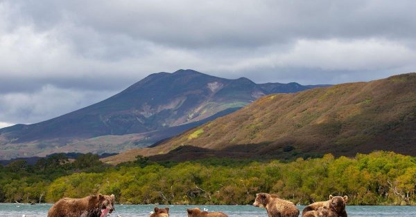 южнокамчатский заказник курильское озеро