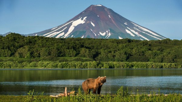 южнокамчатский заказник курильское озеро