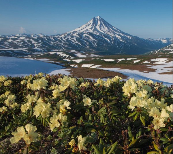 южно камчатский природный парк