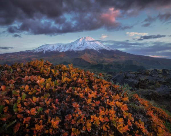 осень в петропавловскекамчатском