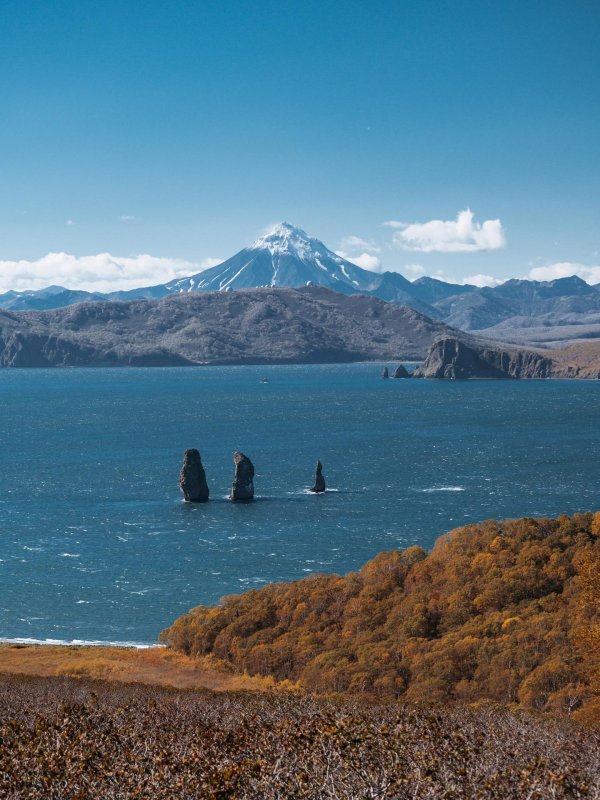 петропавловсккамчатский авачинская бухта