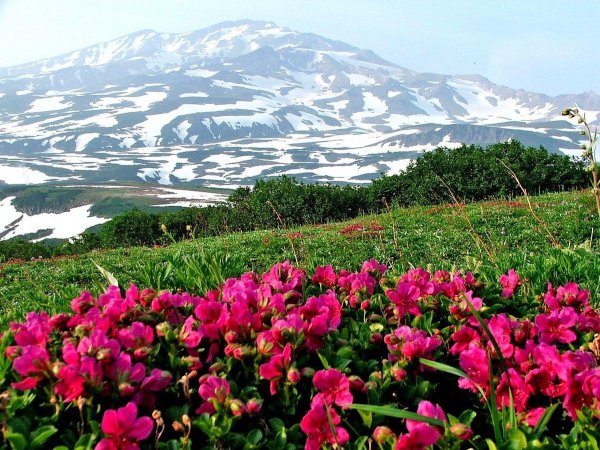 тур на камчатку вулканы