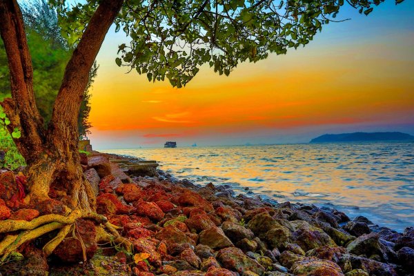 экзотические пейзажи