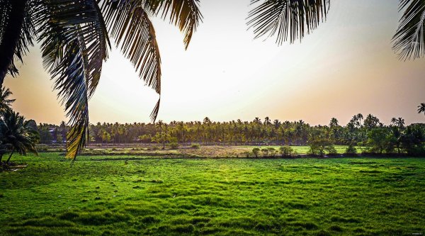 индийский пейзаж