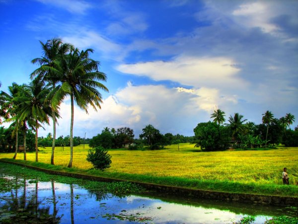 индийский пейзаж