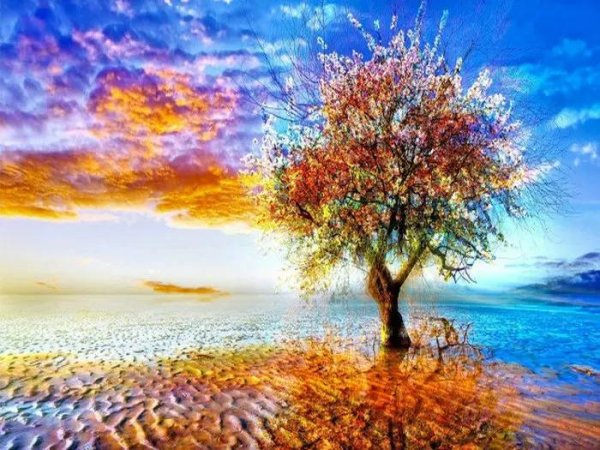 алмазная мозаика дерево 4 сезона